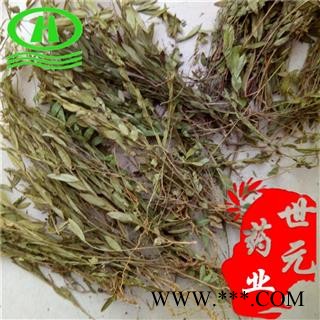 世元药业 瓜子金个子 正品 别称-辰砂草 金锁匙 瓜子草 挂米草 高脚瓜子草 产后草图2