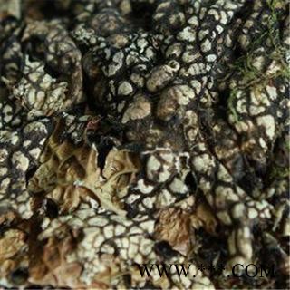 芝春堂 正品 老龙皮 老龙七 石龙皮 网肺衣 石花 各种冷背药材大全图2