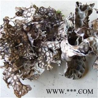 芝春堂 正品 老龙皮 老龙七 石龙皮 网肺衣 石花 各种冷背药材大全图3