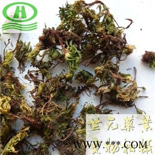 世元药业 回心草 正品 茴心草 茴薪草 铁脚一把伞 岩谷伞 大叶藓图2