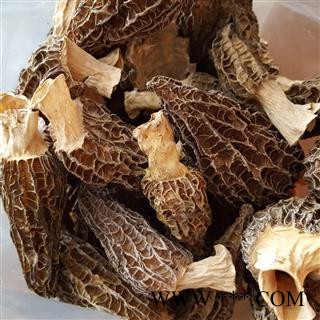 吉康药业羊肚菌 正宗西藏 羊肚菌 大个 去梗图2