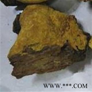 吉康药业 西藏桑树桑黄 桑耳 金边桑黄灵芝图2