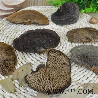 吉康药业灵芝 蜂窝灵芝 毛蜂窝菌 灵芝真菌图3