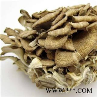 吉康药业灰树花,多孔菌子实体,批发灰树花,大货中草药图2