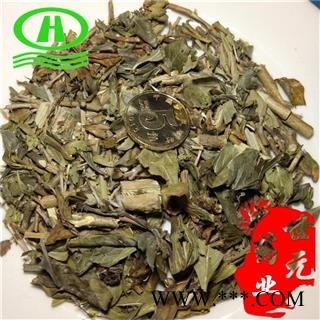 世元药业 六月雪 白马骨 碎叶冬青 白马骨 路边姜 天星木 路边荆 鸡骨柴图1