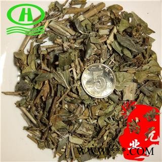 世元药业 六月雪 白马骨 碎叶冬青 白马骨 路边姜 天星木 路边荆 鸡骨柴图2