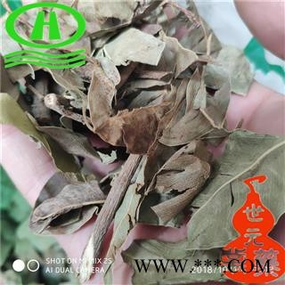 世元药业 小叶榕 别称 榕树叶 雅榕 万年青树【全品除尘中药】图2