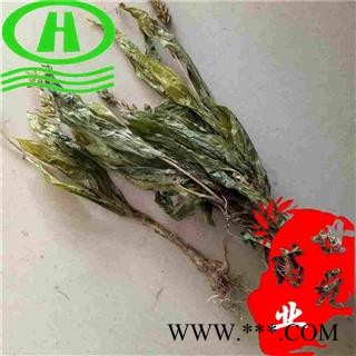 世元药业 见血清 正品 别称 羊耳蒜 立地好 毛慈姑 岩芋 黑兰 矮胖儿 肉螃蟹 铁耙疏 倒岩提 走子草 肉龙箭 香花羊耳蒜 紫星羊耳蒜 香羊耳蒜图2