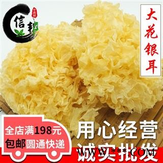新鲜银耳无硫新货干货大花银耳雪耳白木耳大朵无硫熏专注品质，诚信信邦！图1