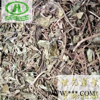 世元药业 地菍草 野落茄 地石榴 铺地锦 山地菍 地脚菍 地稔根 地念根 地稔草图2