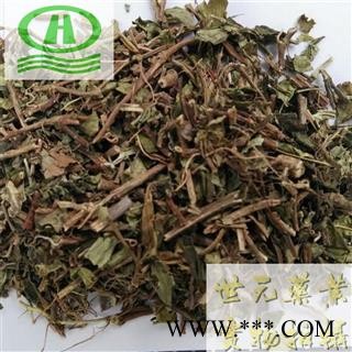 世元药业 地菍草 野落茄 地石榴 铺地锦 山地菍 地脚菍 地稔根 地念根 地稔草图1