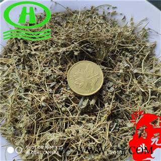 世元药业 小飞扬 通奶草 名医最爱 小飞扬草 过路蜈蚣草 千根草 乳草 红乳仔草 细本乳仔草 扁竹 小本乳汁草 结尾仔草 扁草 还魂草 乌仔目草 红尾仔草图2