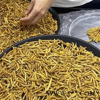 干鲜草冬虫夏草冻干虫草 多规格可选今年新货无硫专注品质，诚信信邦！图4