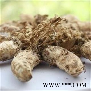 金蝉花统货 500克 正品保证质量7天无理由退货退款 中材药批发 丽丽药业图3