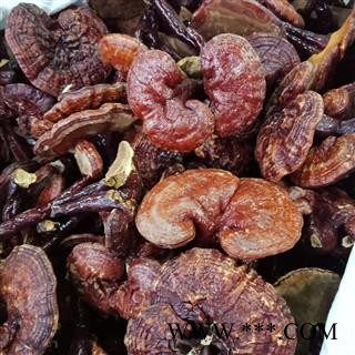 丽丽药业 灵芝红灵芝 中药材批发 正品保证实图拍照7天无理由退货退款图2