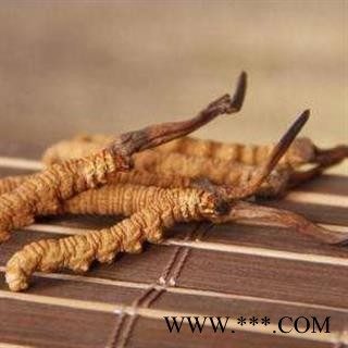 冬虫夏草5条一克正品保证质量 中药材批发 丽丽药业图2