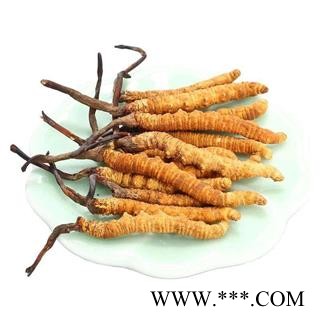 冬虫夏草5条一克正品保证质量 中药材批发 丽丽药业图4