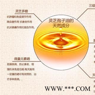 灵芝孢子油 灵芝炮子粉提取精华 一瓶70粒 正品保证质量7天无理由退货退款 华安堂图3