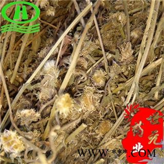 世元药业 灯盏草 灯盏细辛 正品 灯盏花 短茎飞蓬 地顶草 地朝阳 双葵花 东菊图2