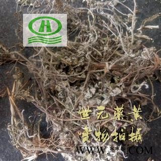 世元药业 翻白草 个子 正品 整颗 无掺假图2