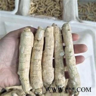 西洋参 西洋参 产地直销新货西洋参个16克左右，一手货源货真价实  产地 吉林省图2