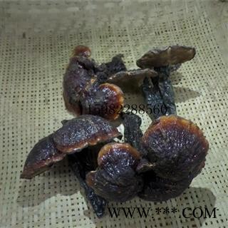 【满298元包邮】野生灵芝 选装 产地 云南省西双版纳图2