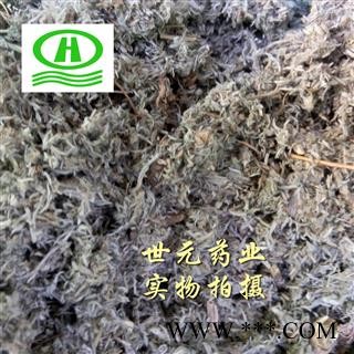 世元药业 茵陈 正品 新货【全品除尘中药】图2