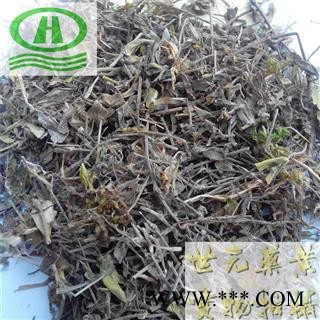 世元药业 黄毛耳草 正品 石打穿 铜眼狮 山蜈蚣 地坎风 地坎风 铺地蜈蚣 过路蜈蚣  串地蜈蚣 白山茄 落地蜈蚣 摊地蜈蚣 黄毛尔草图2