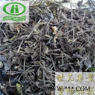 世元药业 黄毛耳草 正品 石打穿 铜眼狮 山蜈蚣 地坎风 地坎风 铺地蜈蚣 过路蜈蚣  串地蜈蚣 白山茄 落地蜈蚣 摊地蜈蚣 黄毛尔草图1