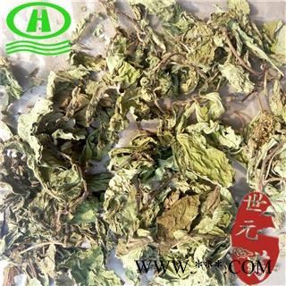 世元药业 薄荷叶 新货 香味浓郁 清香 调味 统货叶图2