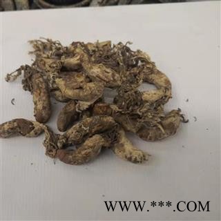 德誉堂药业 金蝉花 金蝉花 统 产地 安徽图4