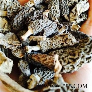 羊肚菌 食积气滞、脘腹胀满、痰壅气逆喘咳图2