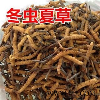 小丽百草行西藏冬虫夏草3800条图2