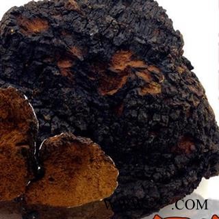 小丽百草行灵芝  桦褐灵芝 白桦茸桦褐孔菌 产地广西图2