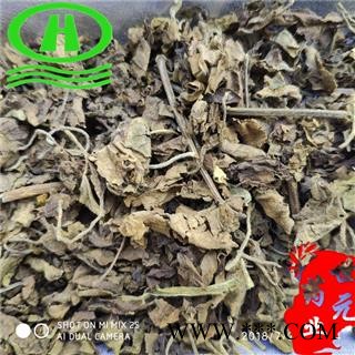 世元药业 藿香叶 含量高于藿香杆 名医最爱 广藿香 土藿香 猫把 青茎薄荷图2