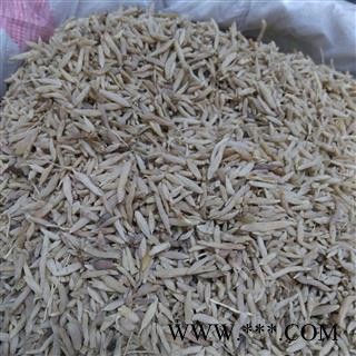 山麦冬 山麦冬（湖北麦冬）统货 产地 山东省图2