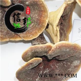 灵芝江西金边灵芝专营贵细类冷被偏门产地直销合作共赢专注品质，诚信信邦！图2