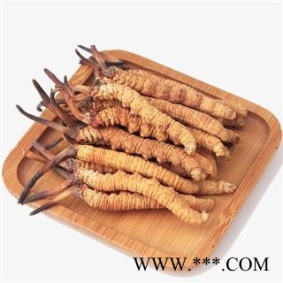 冬虫夏草精选货2000条两条1克正品保证质量7天无理由退货退款 中药材批发 丽丽药业图4