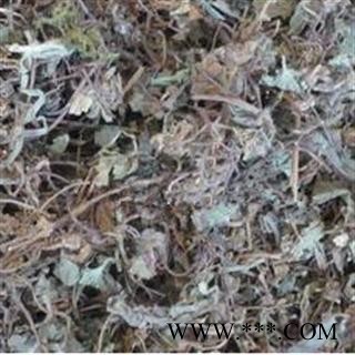 世元药业 芨芨草 正品 枳芨草 枳机草 席箕草 d图1