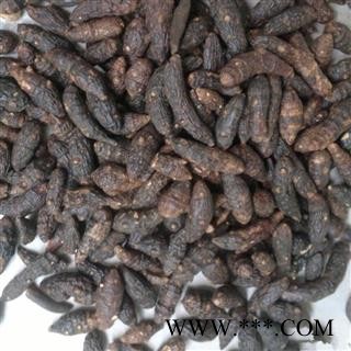 香附 光香附统个 产地 海南省图2