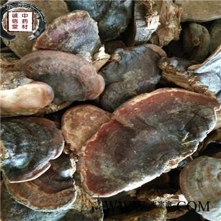 灵芝 无柄赤灵芝 赤灵芝 德誉堂药业批发各种中药材图4
