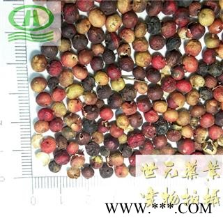 世元药业 南烛子 无饭果 乌饭子 南天竹 南天烛 蓝田竹 杨桐 阑天竹 大椿 猫儿伞 小铁树 老鼠刺 珍珠盖凉伞 红杷子 天烛子 天竺子 红枸子 南竹子 钻只黄 南天烛子图1