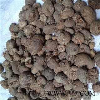 山慈菇 毛慈菇统货 产地 云南省 凯捷中药图3