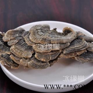 云芝 千层蘑 彩纹云芝 黄云芝 灰芝 瓦菌 统货 产地 黑龙江省货真价实 批发各种规格中药材 花茶 矿石冷背中药材图3
