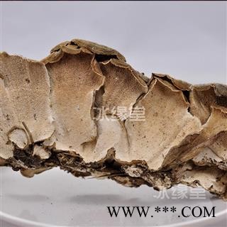 云芝 千层蘑 彩纹云芝 黄云芝 灰芝 瓦菌 统货 产地 黑龙江省货真价实 批发各种规格中药材 花茶 矿石冷背中药材图2