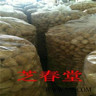 芝春堂 无硫原色 猴头菇 猴头菌 猴头蘑 刺猬菌 猬菌 猴菇图4