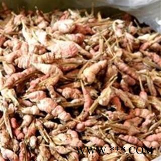 批发优质新货竹花 竹黄 竹红菌 干净无杂质泡酒料淡竹花 产地直销图4