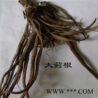 大蓟根 大统货 产地 安徽省 凯捷中药图2