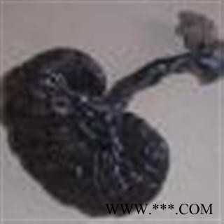 小丽百草行中药材紫灵芝  紫芝图4