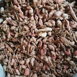 吉康药业竹花 天竹黄 天竺黄 竹花 竹茧 赤团子图2